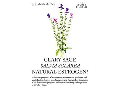 Clary Sage Salvia Sclarea Natural Estrogen Alleviate Symptoms Of