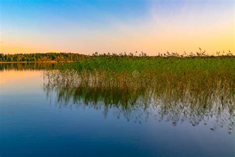 Paisaje Del Atardecer De Verano En El Lago Imagen De Archivo Imagen