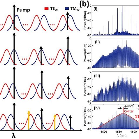 DKS Evolution With Optical Spectra And RF Beat Note A Schematic