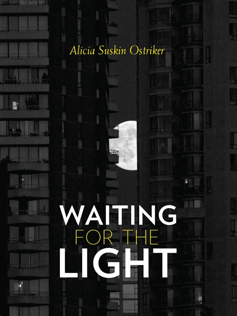 Waiting For The Light University Of Pittsburgh Press