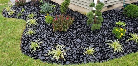 Pebble Mulch Ubicaciondepersonas Cdmx Gob Mx