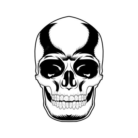 Premium Vector Skull Vector Art And Graphic