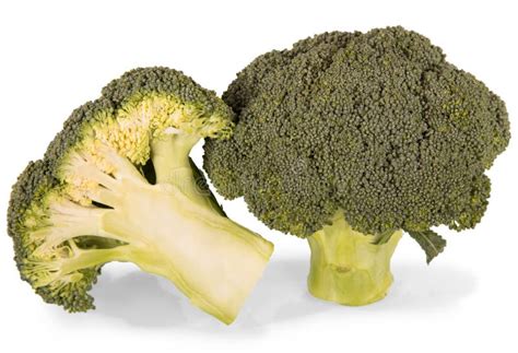 Broccoli Inflorescence Stock Photo Image Of Inflorescence 20757072