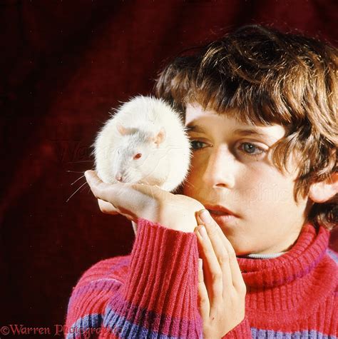 Mark With His Pet Albino Rat Photo Wp17499