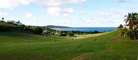 Golf on St. Croix, The Reef Golf Course | GoToStCroix.com