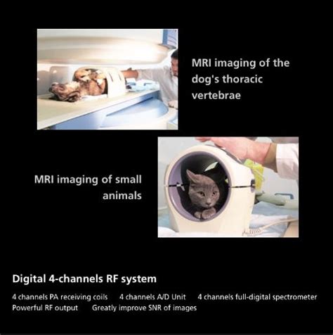 Anke Openmark Vet Mri Machine Medical Equipment Nigeria Limited