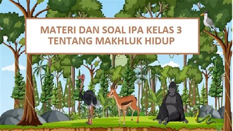 Video Kunci Jawaban Latihan Soal IPA Kelas 3 SD MI Mengenai Sifat Atau