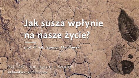 Jak Susza Wp Ynie Na Nasze Ycie Prof Dr Hab Szymon Malinowski