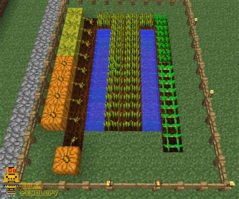 Minecraft Pumpkin Farm Layout