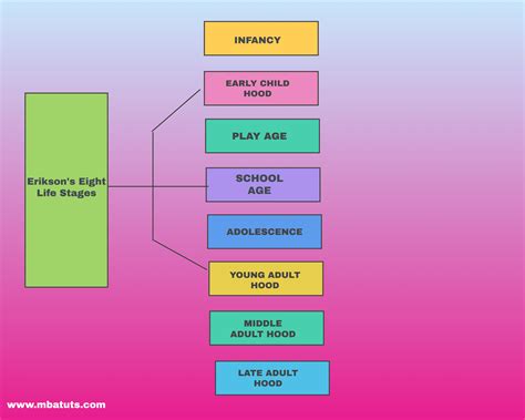 Erikson’s Eight Life Stages | MBA TUTS