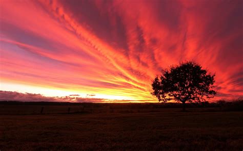 Sfondi Luce Del Sole Alberi Paesaggio Tramonto Piante Campo