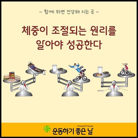 ﻿건강한 다이어트 확실한 성공을 위한 체중 조절 원리는 무엇일까