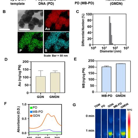 Characterization Of Nanoclusters A Schematic Illustrations Of Gmdn Download Scientific