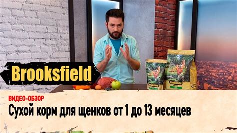 Обзор BROOKSFIELD сухой корм для щенков от 1 до 13 месяцев - YouTube