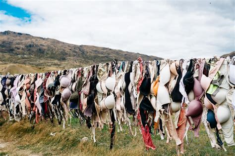 Line Drying Clothes A Sustainable And Cost Effective Laundry Solution