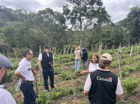 Fao Honduras On Twitter Comunidad La Lima Puca Vegetales