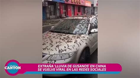 Tabasco Hoy On Twitter Videothextra A Lluvia De Gusanos En China