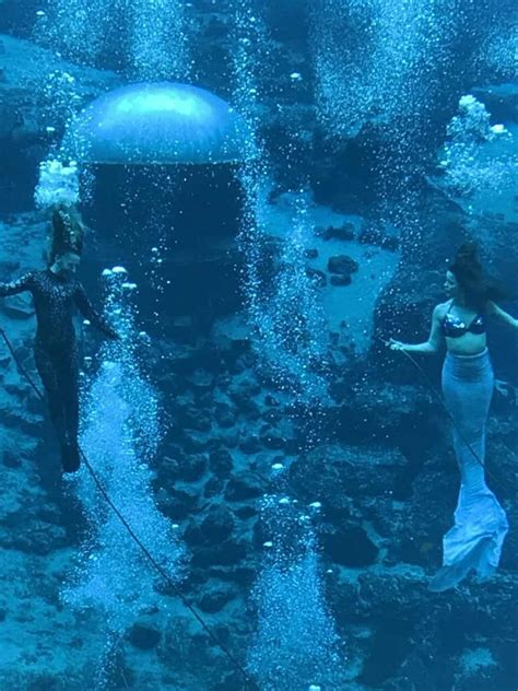 Weeki Wachee Springs Home Of The Mermaids My Cornacopia In 2022