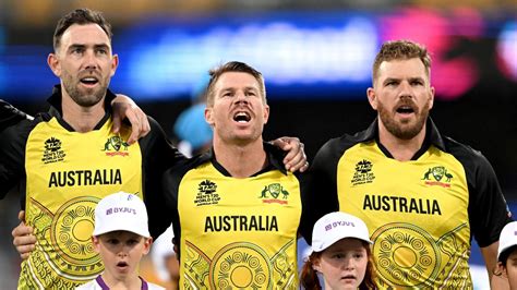 Cricket Australia David Warner Plans To Retire In Next 12 Months