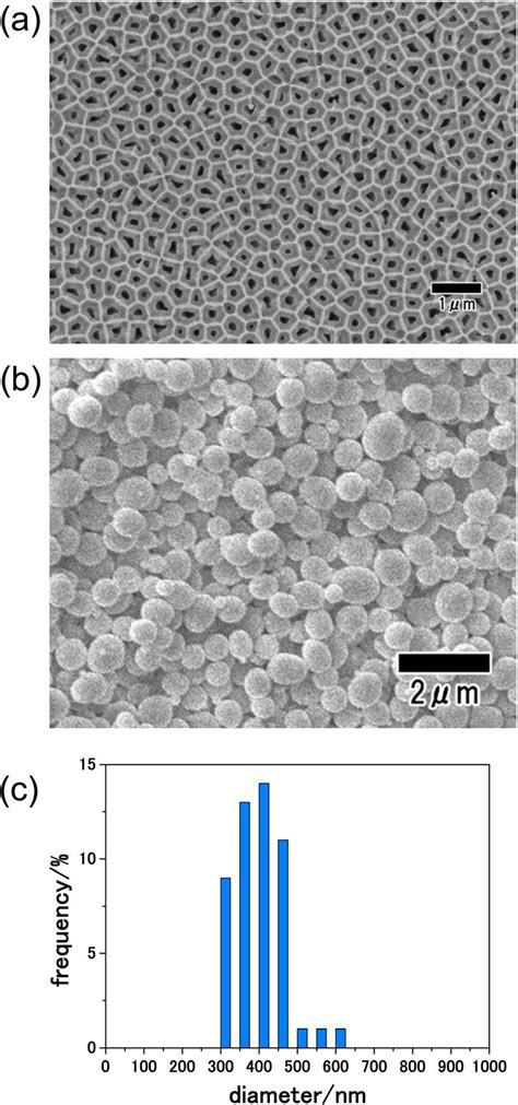 A Sem Image Of Anodic Porous Alumina Membrane Used For Membrane