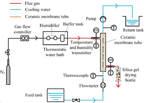 Schematic Of Experimental System Download Scientific Diagram