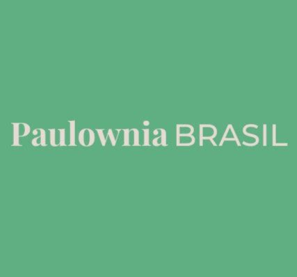 Como e onde plantar Kiri Japonês Paulownia Brasil