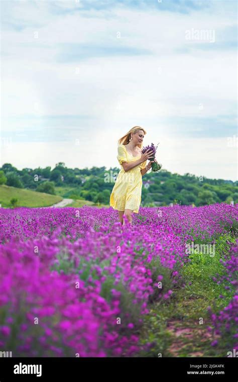 Beautiful Woman In Lavender Field Selective Focus Nature Stock Photo