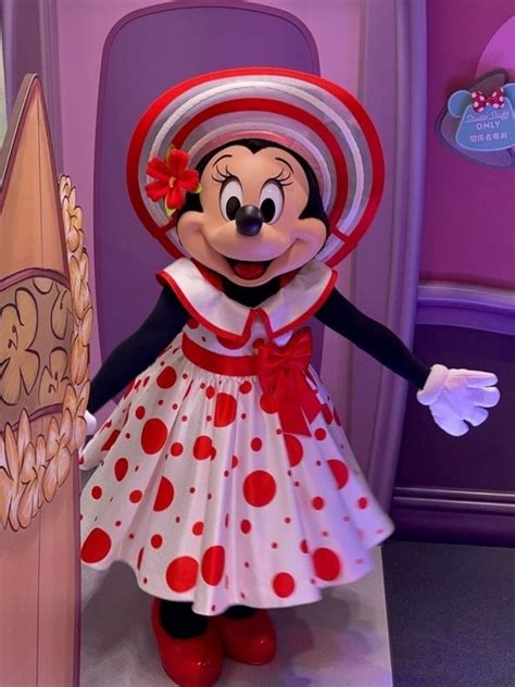 Pin By Tyler Hays On Mickey Minnie Summertime Minnie Mouse Pictures