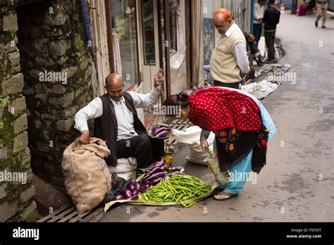 Shimla Mirch Fotos Und Bildmaterial In Hoher Auflösung Alamy