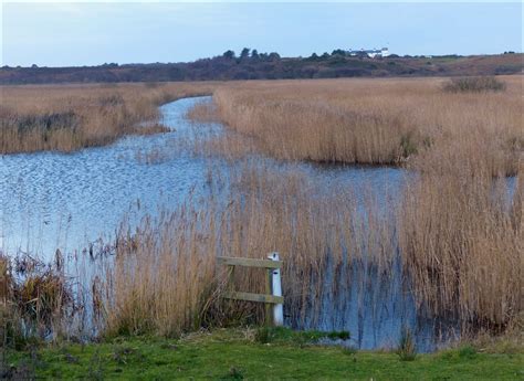 Wild and Wonderful: Nature Reserves ~ RSPB Minsmere