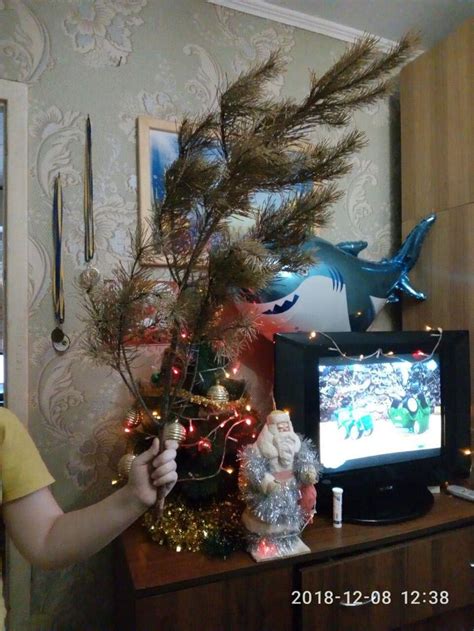 Ну что, слабаки! | Пикабу