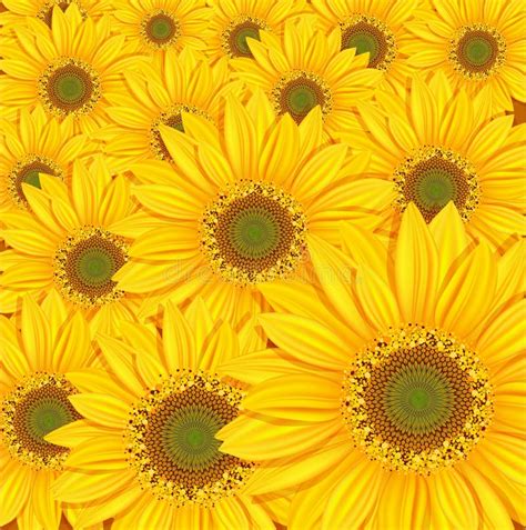 Girasoles Svg Free