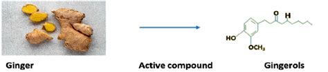 Most Active Compound Of Ginger Gingerols Download Scientific Diagram