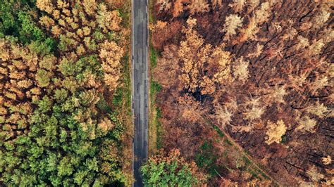 Wald Der Zukunft Zukunft Des Waldes Hr Fernsehen De Sendungen A Z