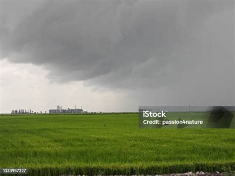 Hari Badai Di Sebuah Peternakan Dengan Silo Penggilingan Padi Di Latar