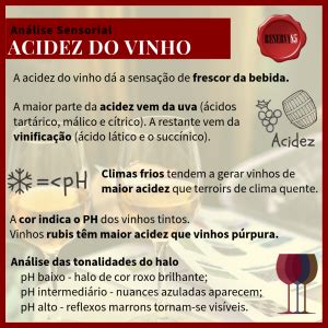 Acidez do vinho por que é tão importante Reserva85