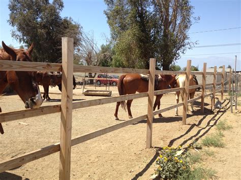 The Inland Empire, Norco, Horse Town USA, Norco Animal Rescue Team.What ...