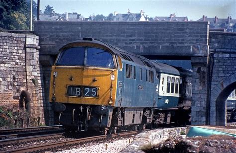 1023 Western Fusilier 0930 Paddington To Penzance At Teignmouth 288