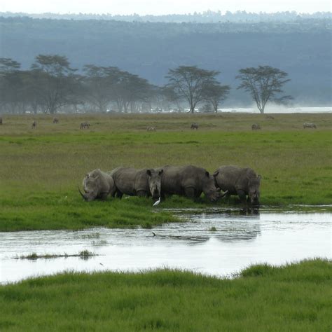 18 Tage Safari Kenia Tansania Sansibar