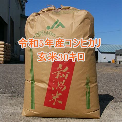 新米 令和5年 埼玉県産 コシヒカリ 玄米 30kg 豪奢な 米・雑穀・粉類