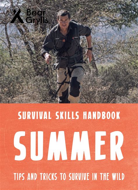 Bear Grylls Survival Skills Summer Bear Grylls Illustrated By