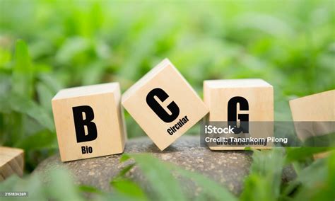 Wooden Block With Bcg Icon Bcg Concept For Sustainable Economic