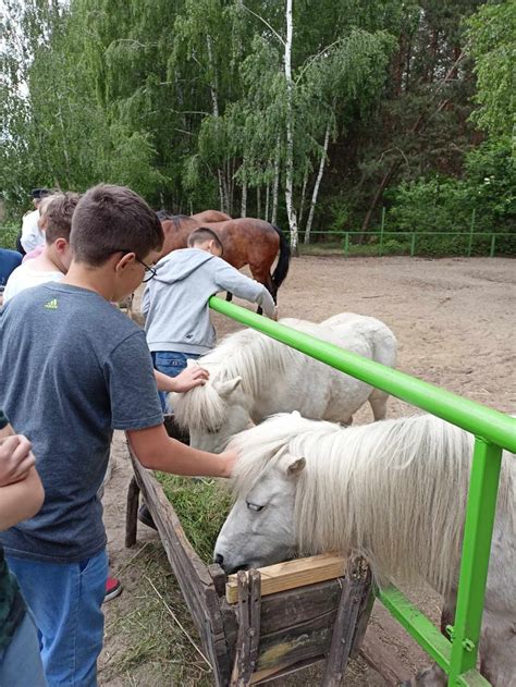 Wycieczka Do Zagrody Edukacyjnej Stajnia Lusi W Konarzewie Szko A