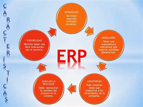 Caracteristicas De Un Erps Negocios Electronicos Ii