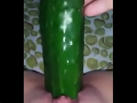 Pussy Cucumber XNXX