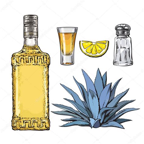 Set De Botella De Tequila Chupito Molino De Sal Agave Y Lima