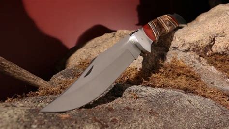 Timber Rattler Giant Folding Pocket Knife Scarab Back