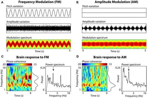 Frontiers Neural Oscillations In Speech Don T Be Enslaved By The