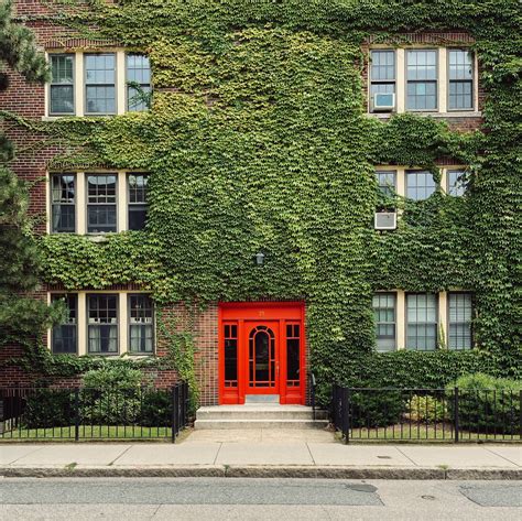 A hidden Courtyard Boston Brookline feature is a hit with travelers 17