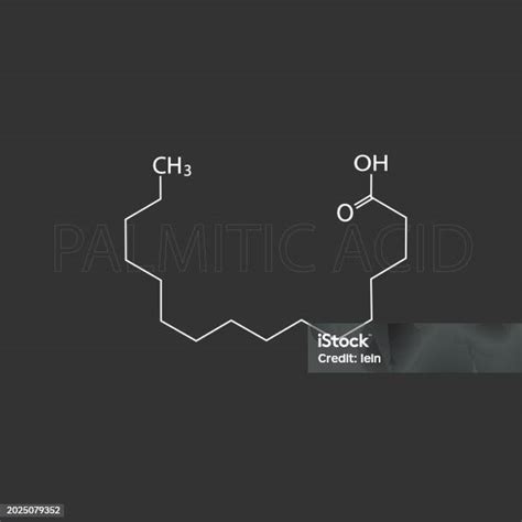 Palmitic Acid Molecular Skeletal Chemical Formula Stock Illustration